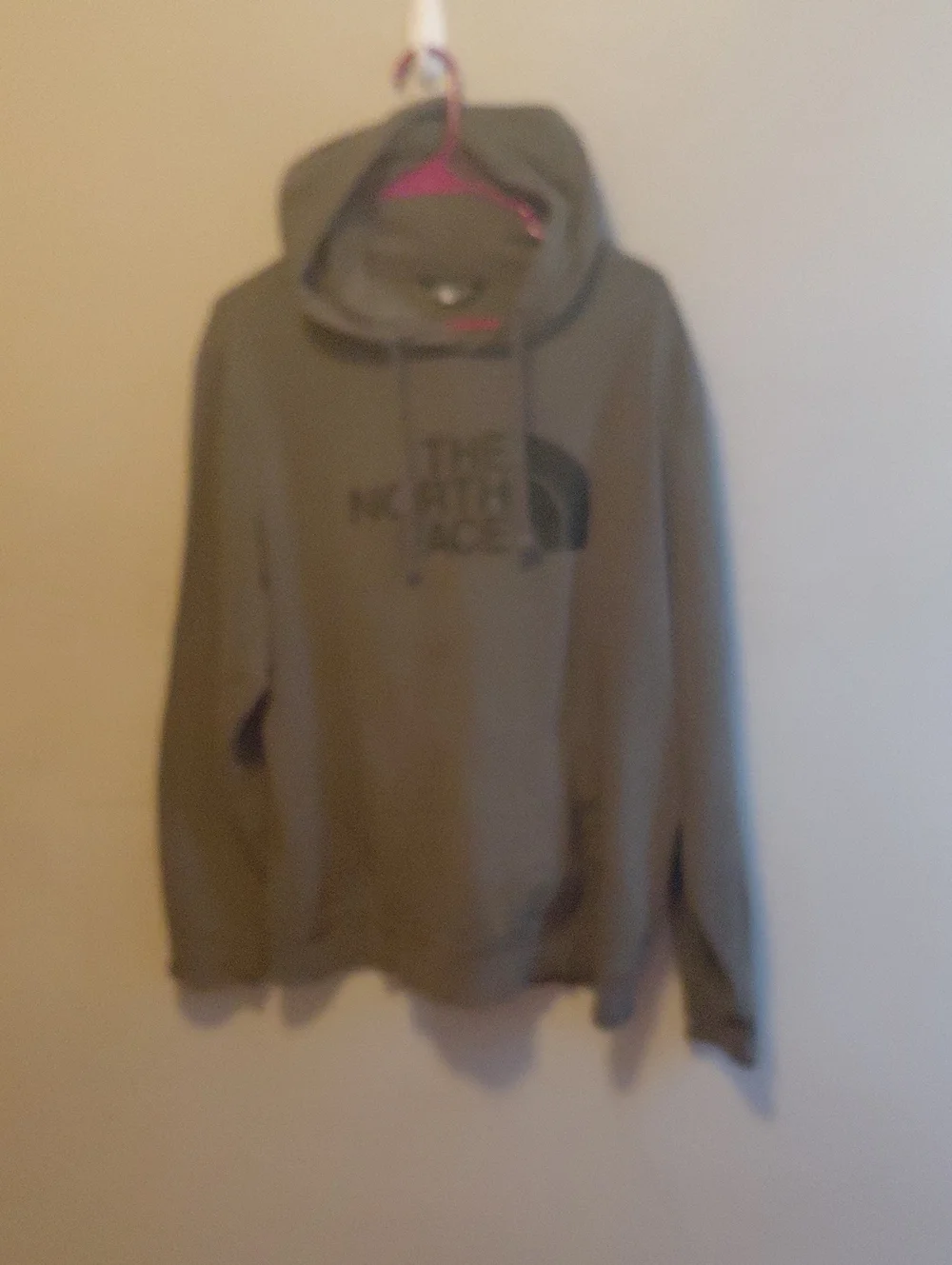 The North Face Men's Olive Green Logo Hooded Sweatshirt
